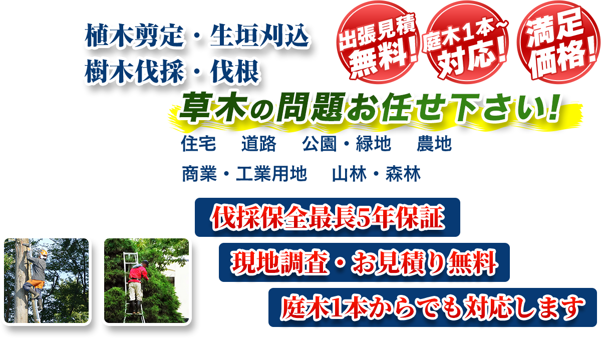 相模原市エリア即対応!! 出張無料! 庭木1本~対応! 満足価格! 植木剪定・生垣刈込 樹木伐採・伐根 草木の問題お任せ下さい! 住宅 道路 公園・緑地 農地 商業・工業用他 山林・森林 伐採保全最長5年保証 現地調査・お見積り無料 庭木1本からでも対応します